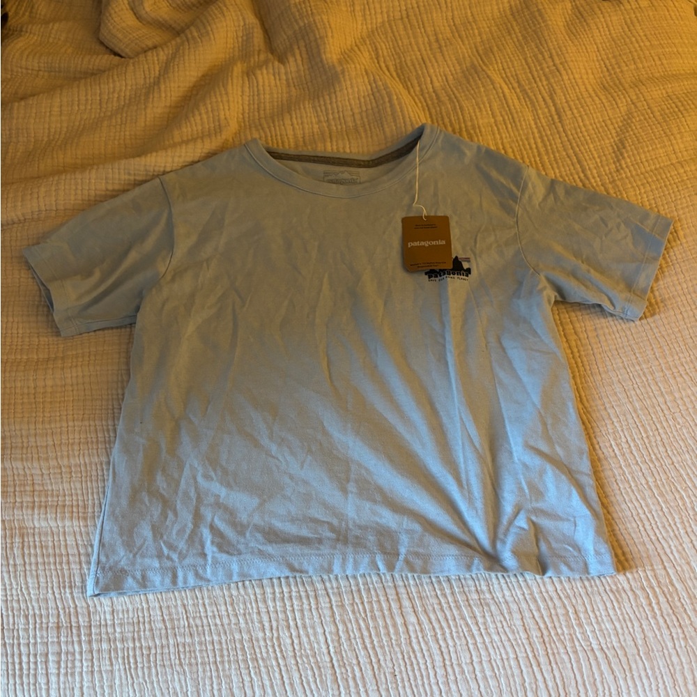 Patagonia Responsibili-Tee